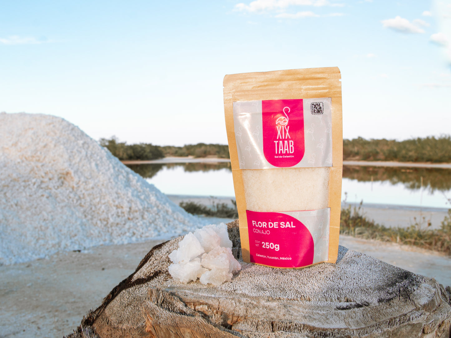 Mezcla de Flor de Sal con Ajo - 250 g